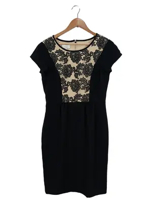 HOBBS Spitzenkleid