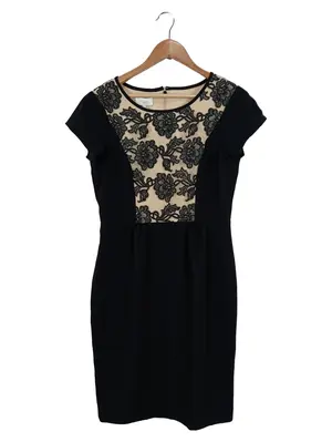 HOBBS Spitzenkleid