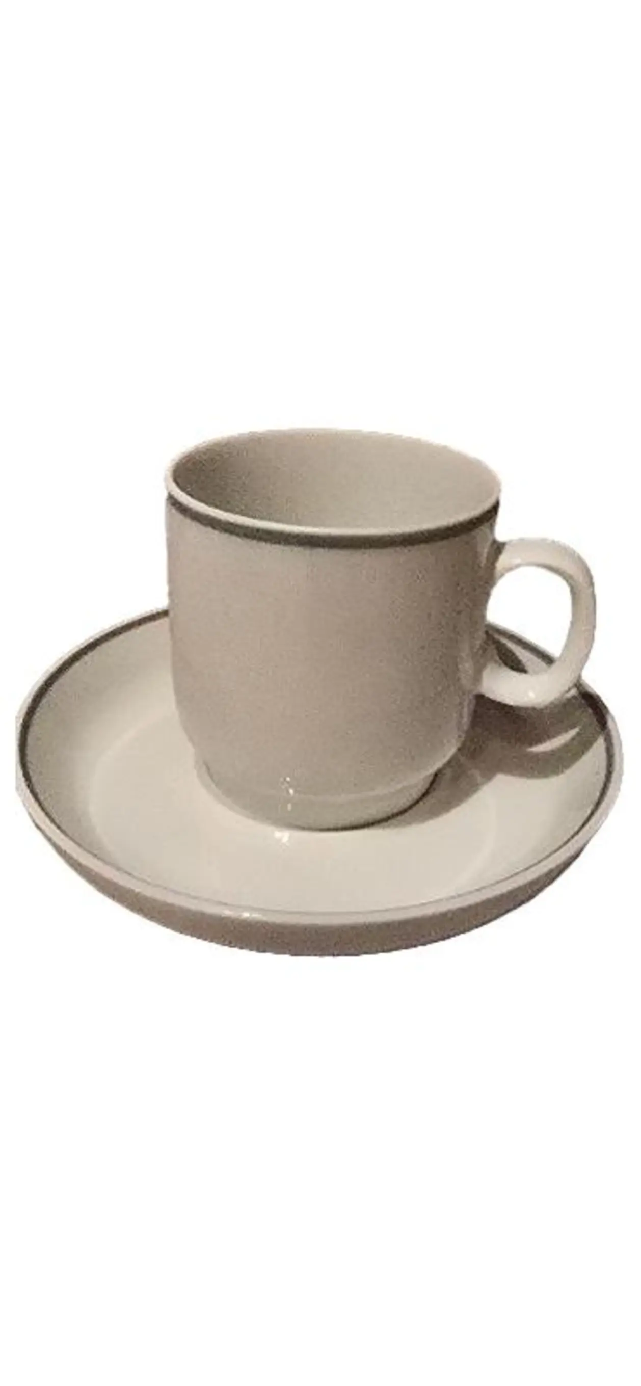 THOMAS Germany Kaffeetasse mit Untertasse Porzellan Weiß Grauer Rand