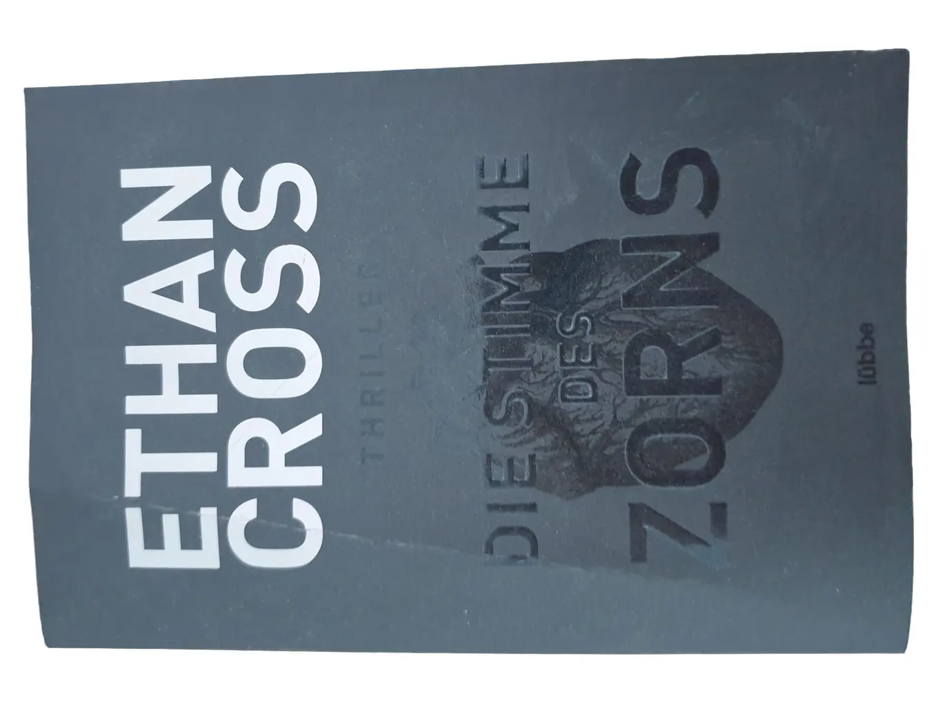 Die Stimme des Zorns Ethan Cross Psychothriller Taschenbuch Deutsch