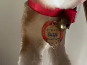 Vorschaubild 4 von Katze Kuscheltier Klassisch Beige 17cm
