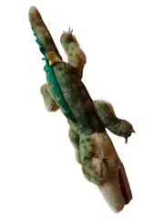 Vorschaubild 1 von Krokodil Kuscheltier Plüschtier Mehrfarbig Klassisch 35cm
