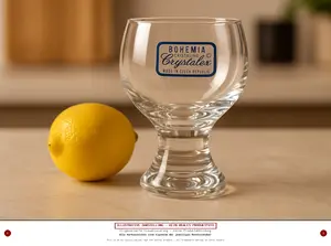 BOHEMIA CRYSTALEX Schnapsglas