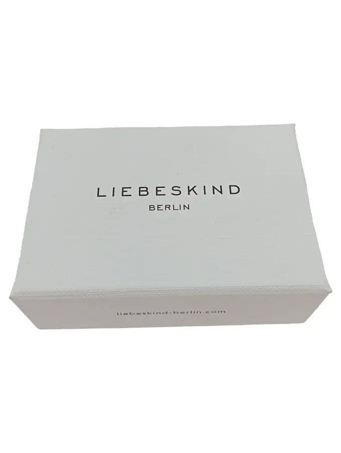 LIEBESKIND Ohrringe Bild 4