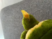 Vorschaubild 2 von Schildkröte Stofftier Kuscheltier Baby Plüschtier Grün 20cm