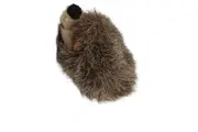 Vorschaubild 1 von Igel Kuscheltier Plüschtier Braun 8 cm Baby Kinder Spielzeug