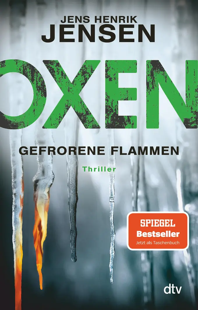 Thrillerbuch Bild 1
