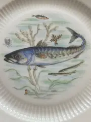 Vorschaubild 2 von KAISER Sammelteller Porzellan Fisch Motiv Klassisch Weiß 25cm
