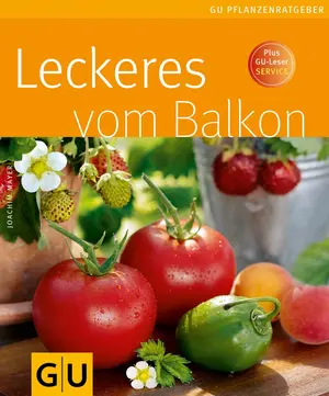 Hobbybuch