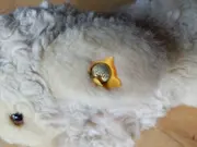 Vorschaubild 4 von Kuscheltier Schaf Lamm Beige Natur 8cm Plüschtier Stofftier