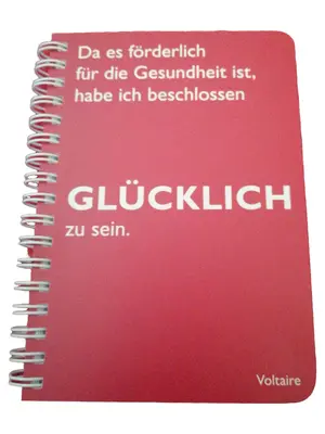 VOLTAIRE Notizbuch