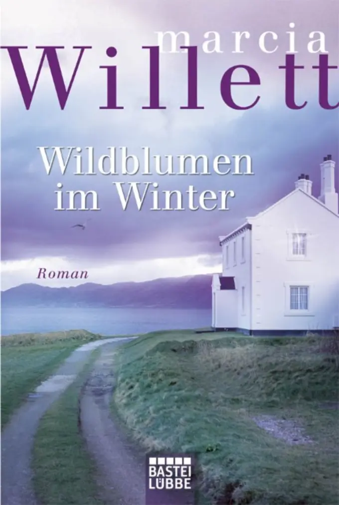 Gesellschaftsroman Bild 1