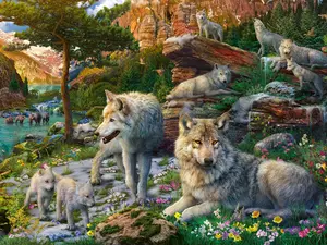 RAVENSBURGER Bild