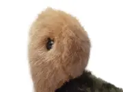 Vorschaubild 5 von Kuscheltier Schildkröte Slo Stofftier Mehrfarbig 10cm