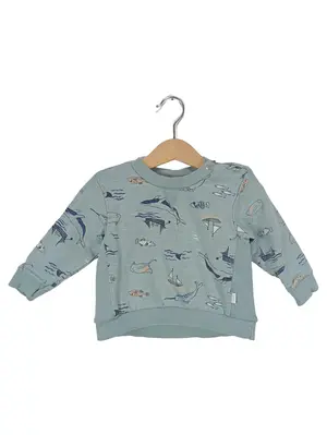 NOPPIES Pullover