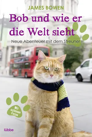Allgemeines Sachbuch