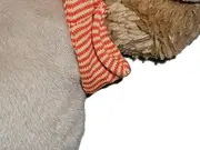 Vorschaubild 4 von Löwe Kuscheltier Plüsch Baby Klassisch Beige 16 cm