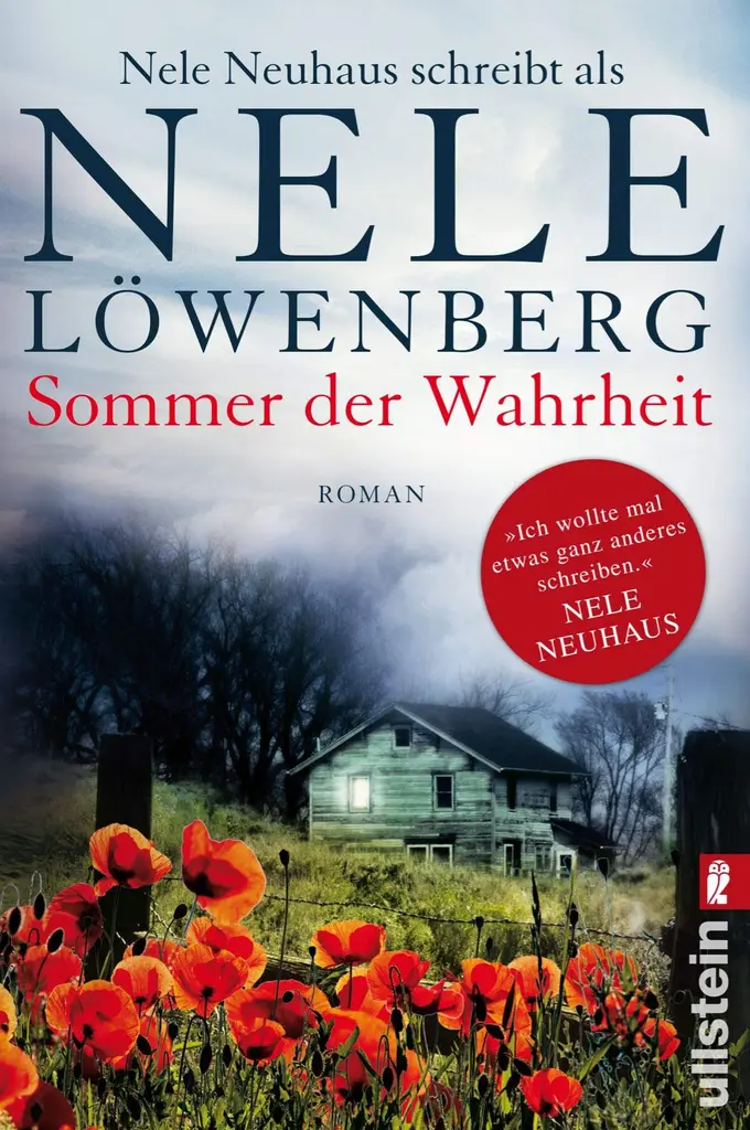 Gesellschaftsroman Bild 1