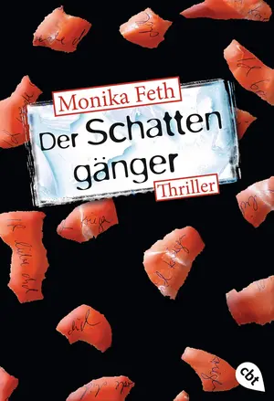 Thrillerbuch