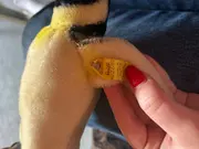 Vorschaubild 2 von Baby Kuscheltier Pinguin Stofftier Mehrfarbig 21cm