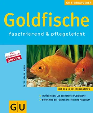 Hobbybuch
