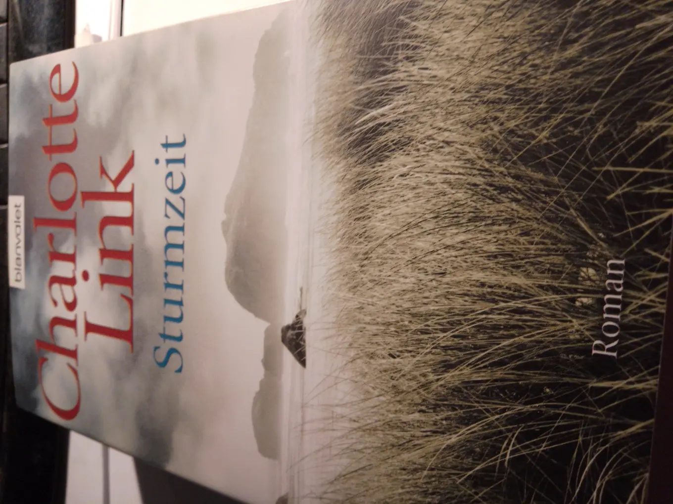 Charlotte Link Sturmzeit Taschenbuch Liebesroman Bestseller