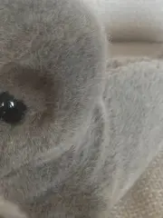 Vorschaubild 2 von Robbe Kuscheltier Plüschtier Grau 31cm Seehund Stofftier Tier