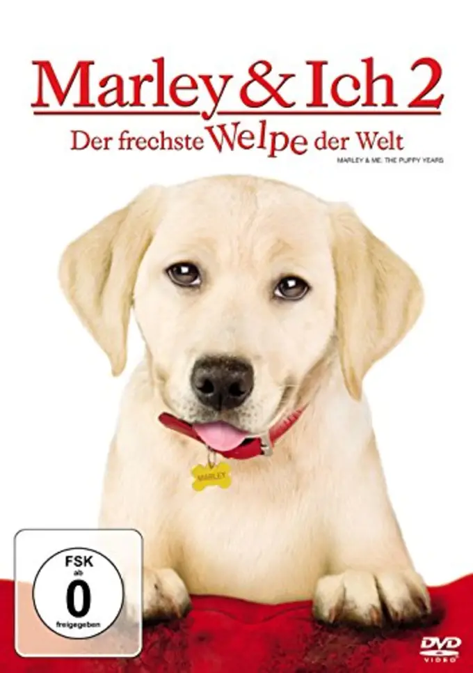 Familienfilm Bild 1