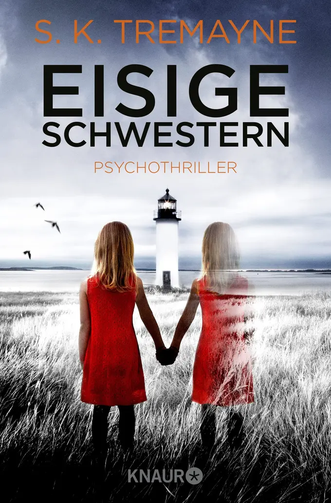 Thrillerbuch Bild 1