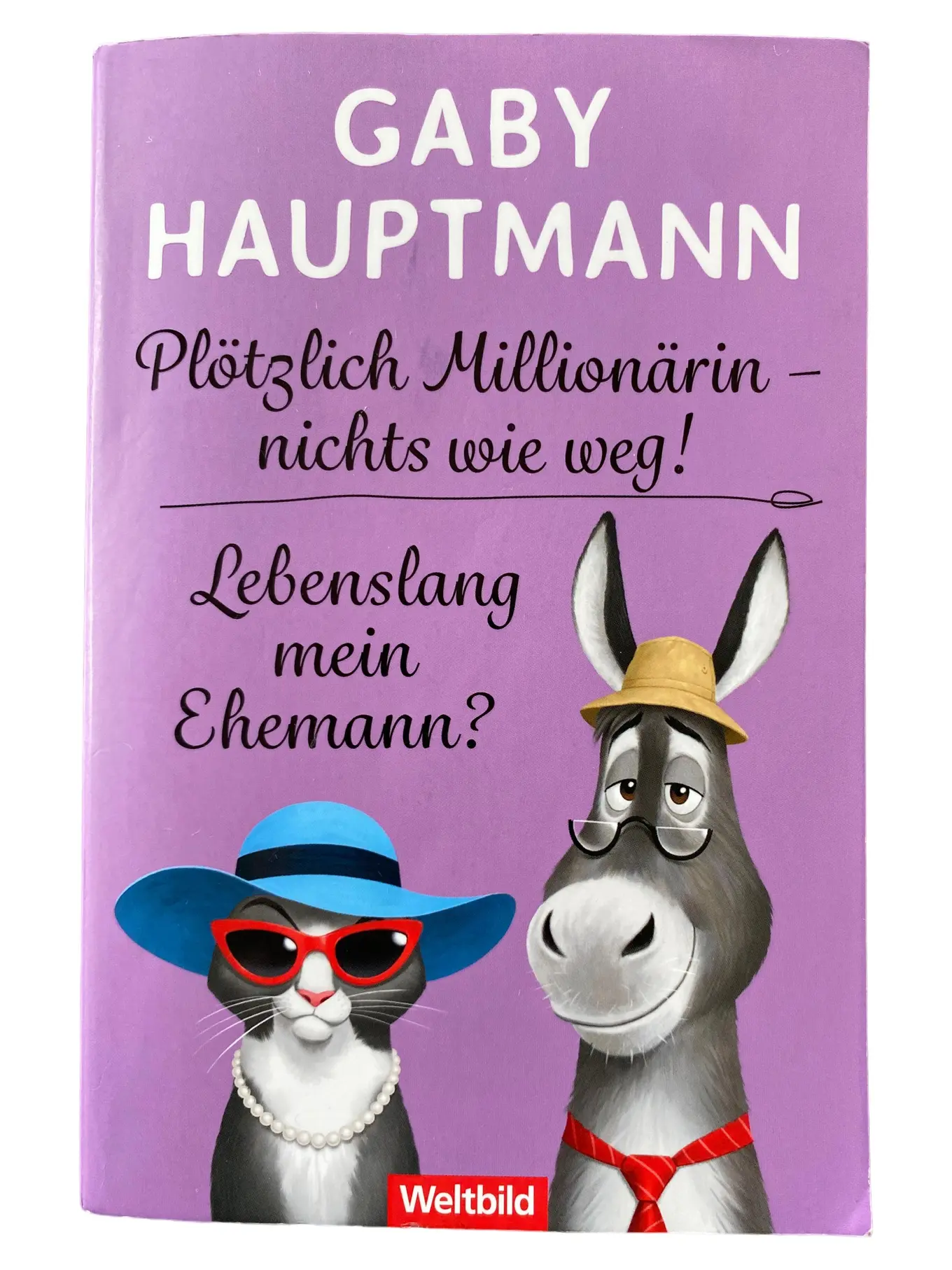 Gaby Hauptmann Plötzlich Millionärin Hardcover Liebesroman Deutsch Humor