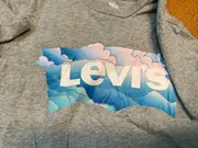 Vorschaubild 3 von Herren T-Shirt Kurzarm Grau Gr. XS Logo-Print 100% Baumwolle