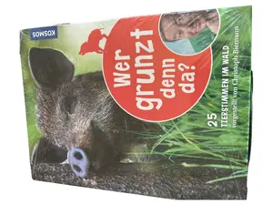 Hörspiel für Kinder