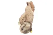 Vorschaubild 1 von Baby Kuscheltier Faultier Plüschtier Stofftier Beige 32cm