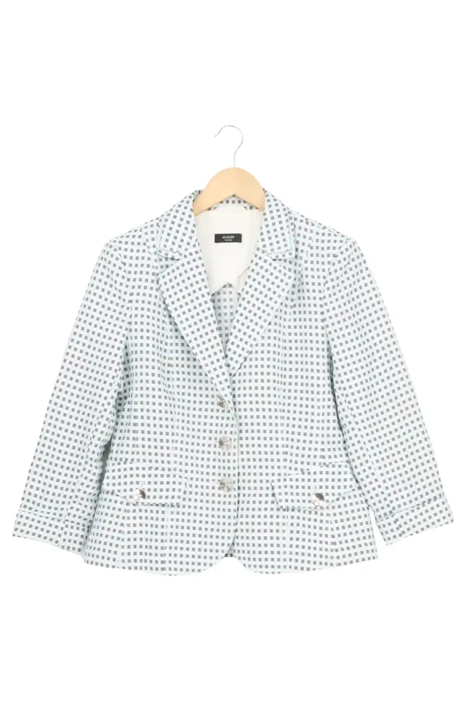 BASLER Blazer Bild 1