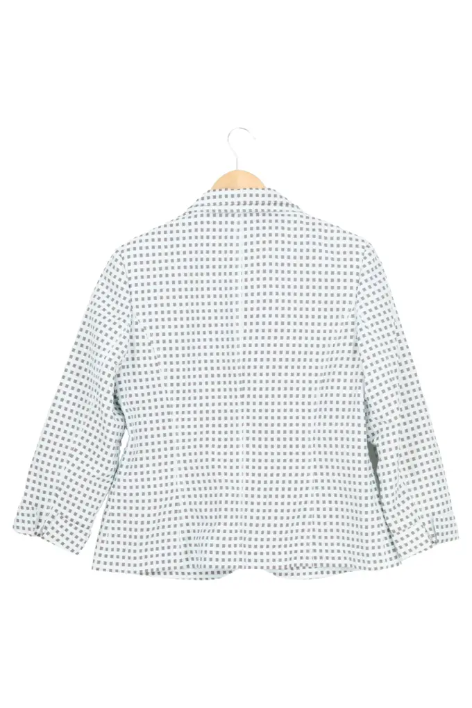 BASLER Blazer Bild 2
