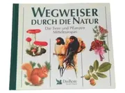 Vorschaubild Allgemeines Sachbuch 1