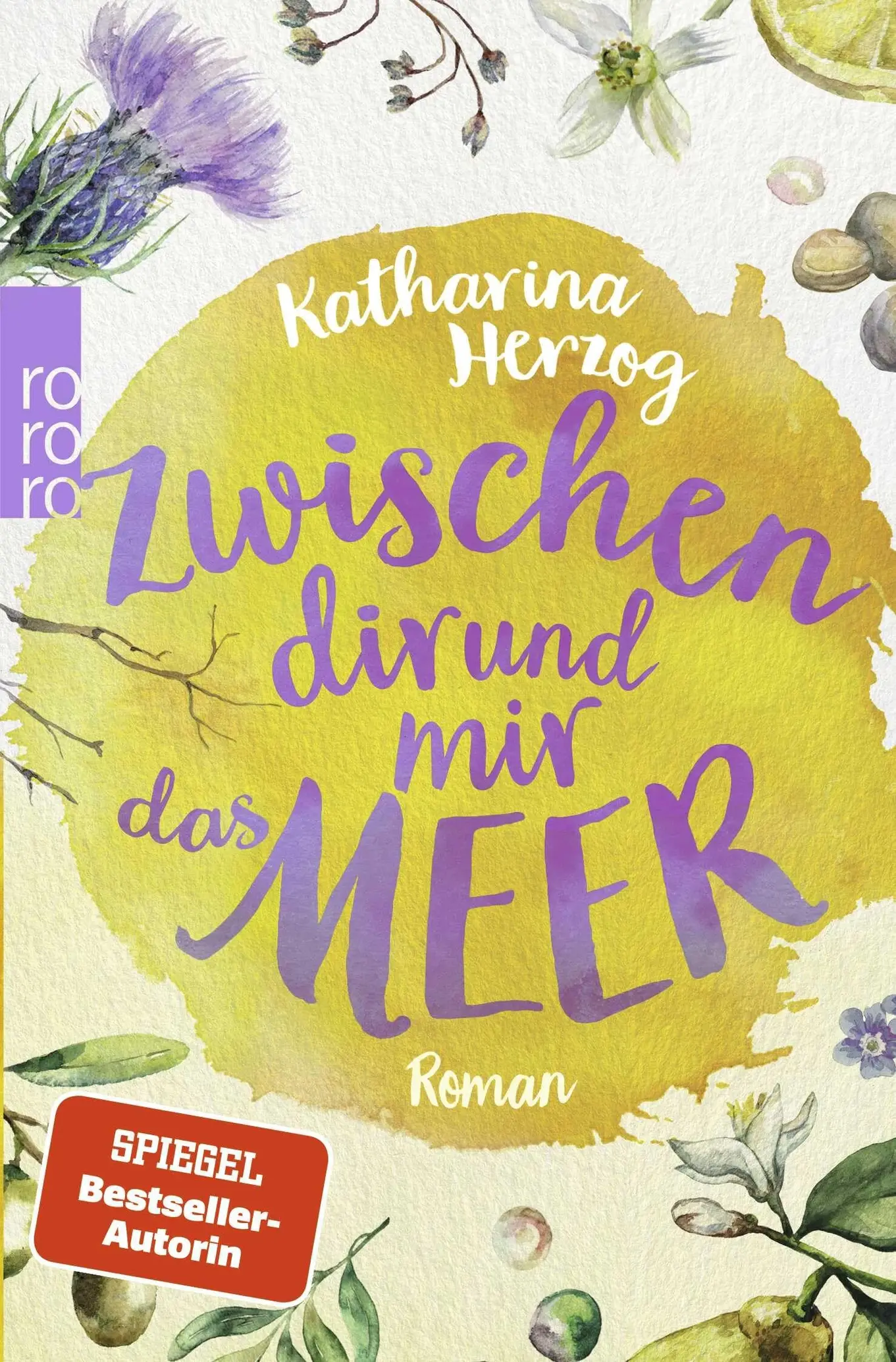 Zwischen dir und mir das Meer von Katharina Herzog Roman Amalfiküste