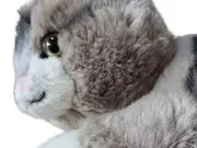 Vorschaubild 4 von Katze Kuscheltier Klassisch Grau 12cm