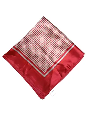 DANIEL HECHTER Krawatte und Einstecktuch