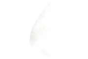 Vorschaubild 2 von Dekokissen Weiß Baumwolle Modern Elegant Zierkissen