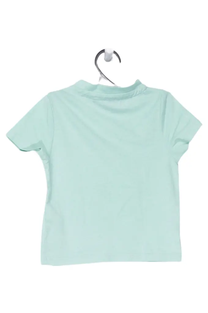 SV WERDER BREMEN Fanshirt Bild 2