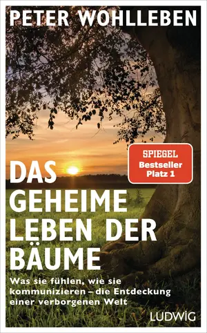 Allgemeines Sachbuch