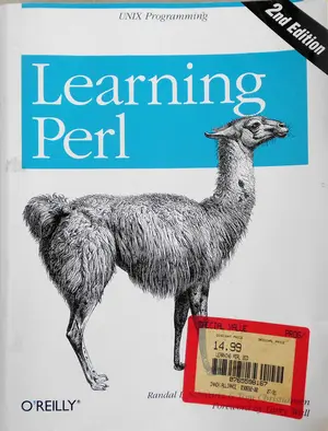 IT und Programmierbuch