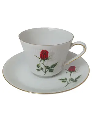 MITTERTEICH Tasse und Unterteller