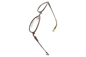 SIGNATURE BY LEVI STRAUSS & CO. Brillengestell