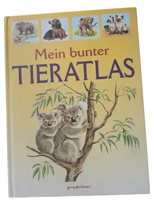 Sachbuch für Kinder