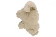Vorschaubild 2 von Baby Kuscheltier Bär Beige 7cm Plüschtier Stofftier