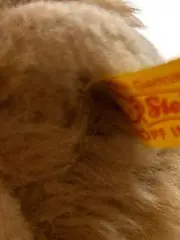 Vorschaubild 3 von Löwe liegend Kuscheltier Plüschtier beige Klassisch ab 36 Monate