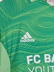 Vorschaubild 4 von FC Bayern München Youth Cup Torwarttrikot Langarm Herren Gr. L Grün