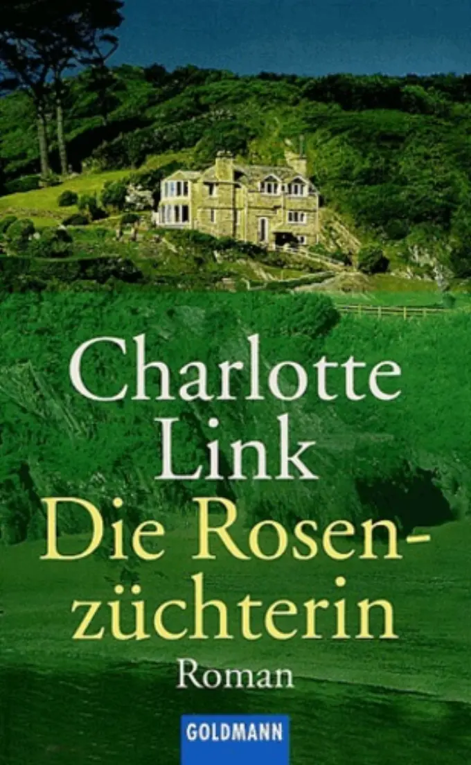 Gesellschaftsroman Bild 1
